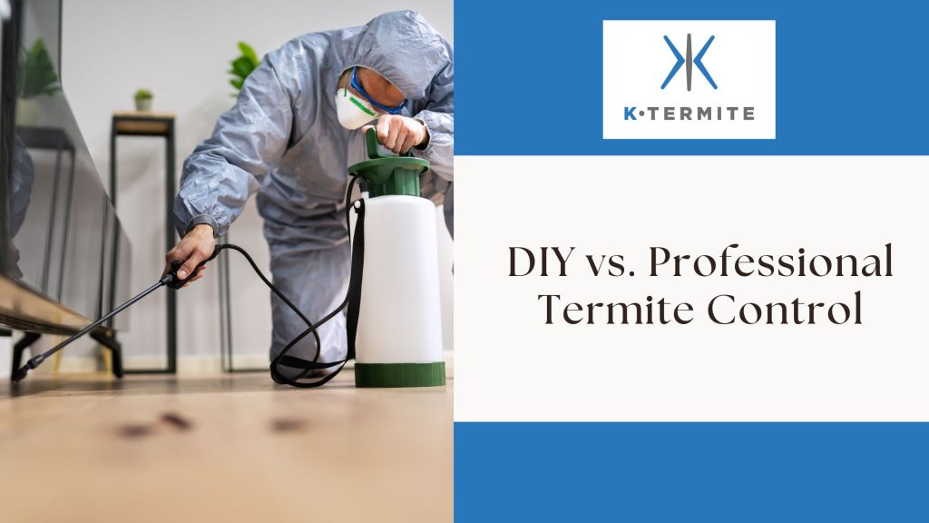 DIY vs. Professional Termite Control