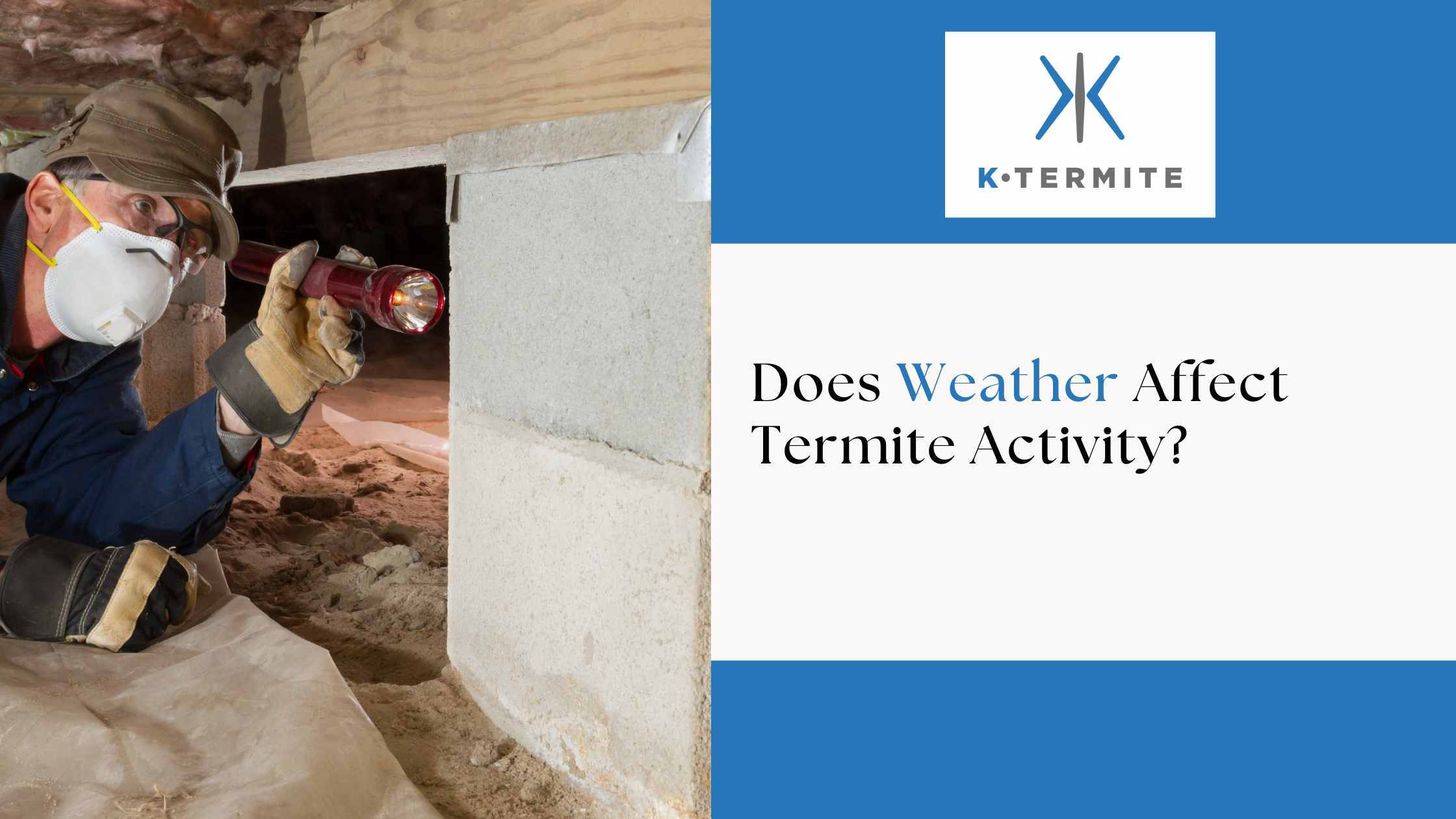 Does Weather Affect Termite Activity?