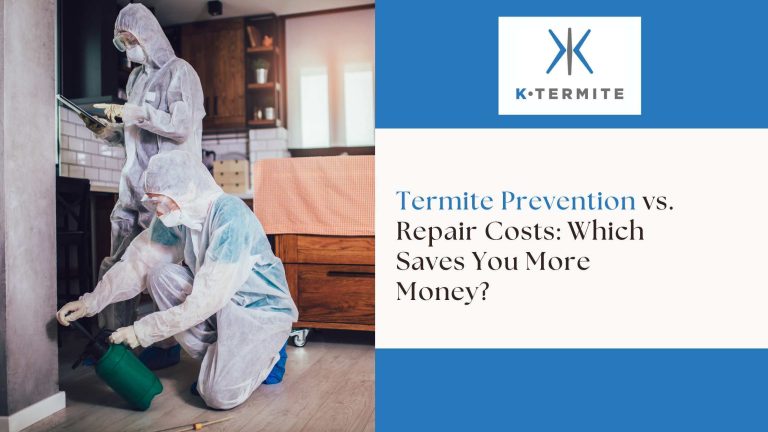 Termite Prevention vs. Repair Costs: Which Saves You More Money?