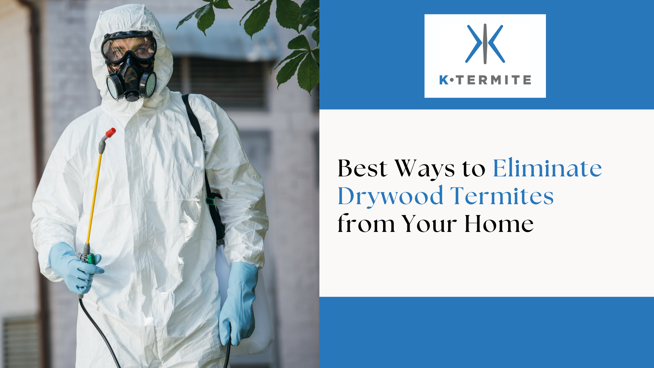 Ways to Eliminate Drywood Termites