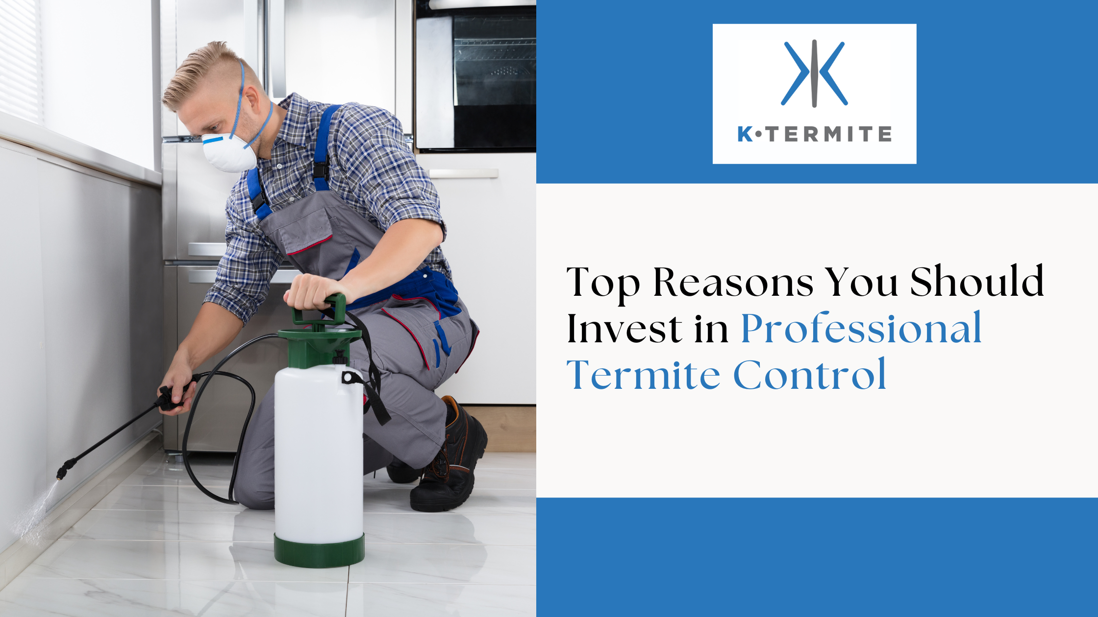 Professional Termite Control