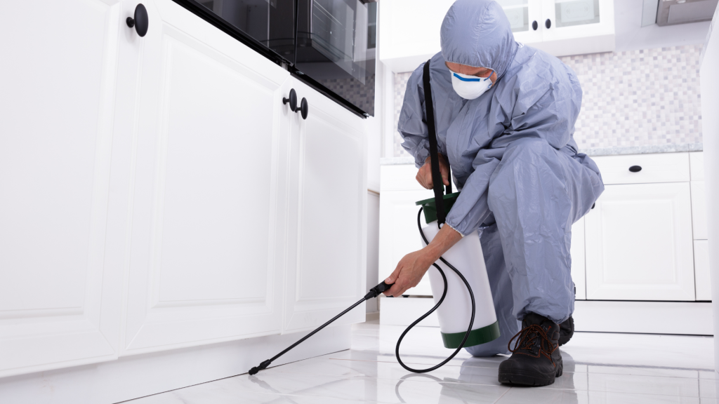 Drywood Termite Treatment