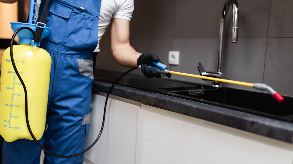 Professional Termite Treatment