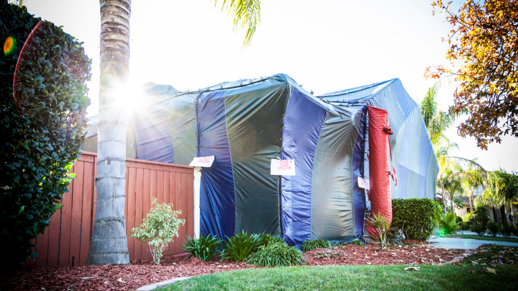 Fumigation Termite Treatment
