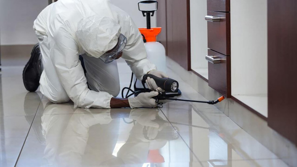 Localized Termite Treatment