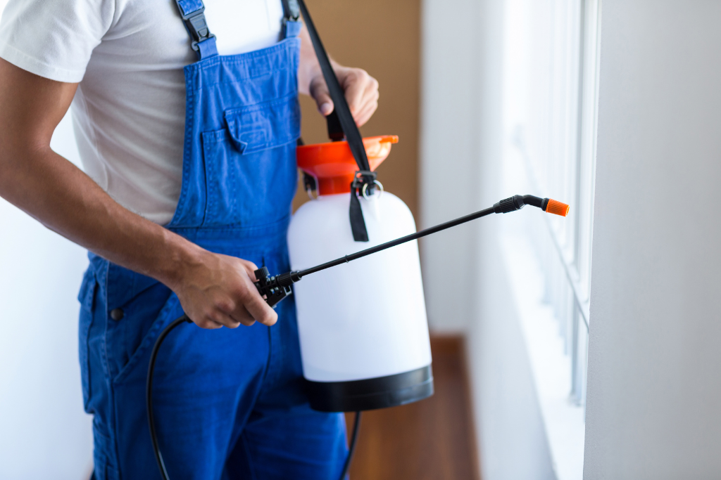 Professional Termite Treatment