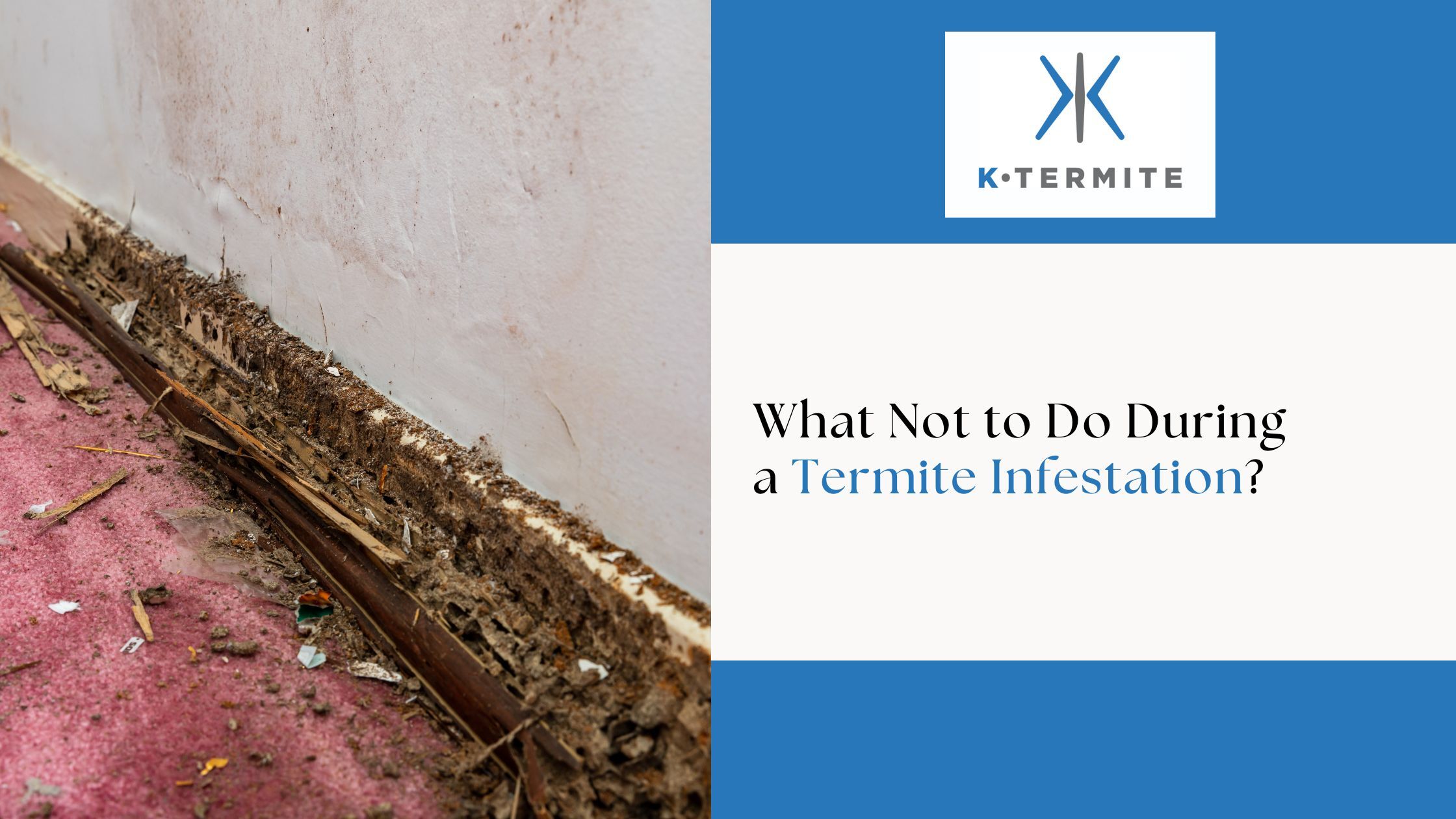 Termite Infestation