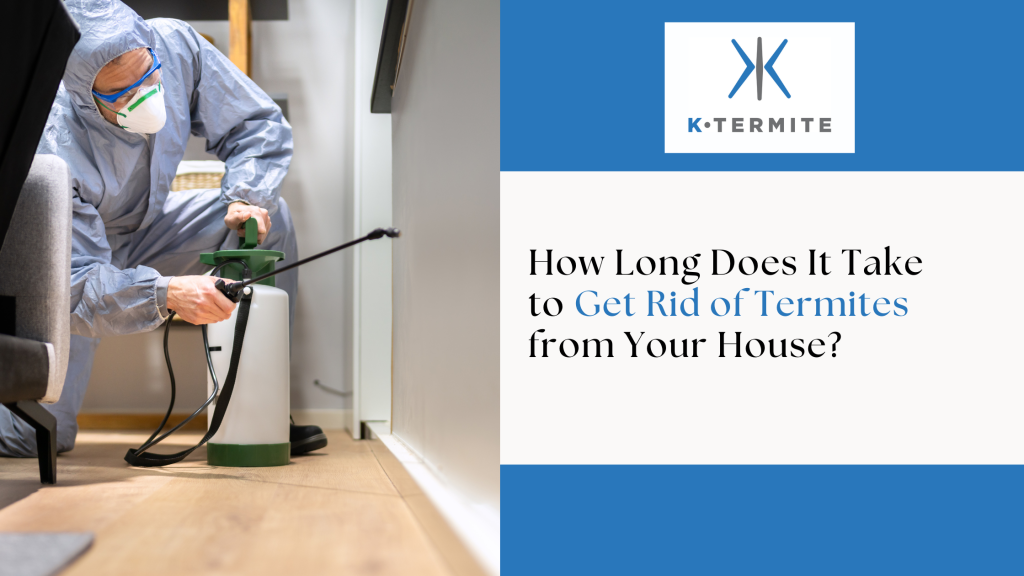 Get Rid of Termites