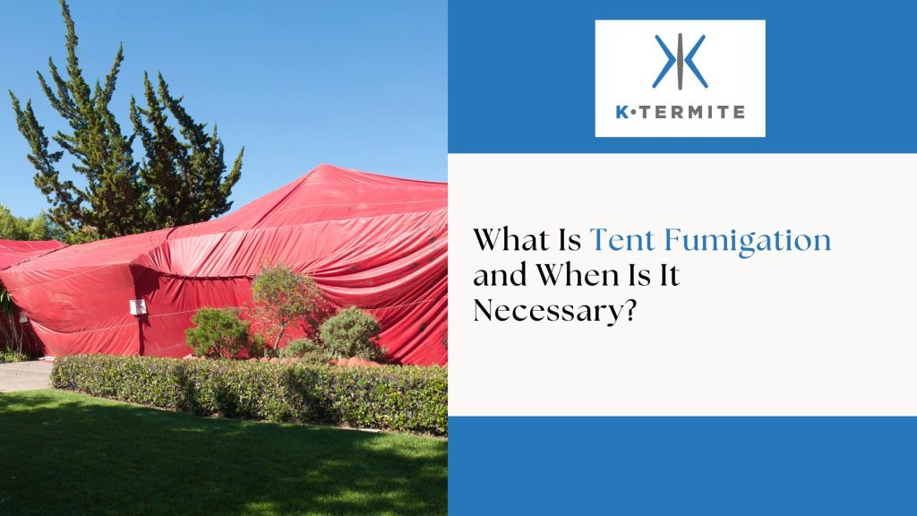 Tent Fumigation