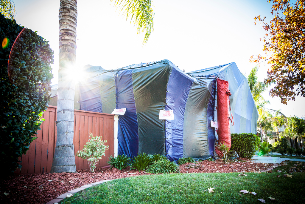 Tent Fumigation for Termites