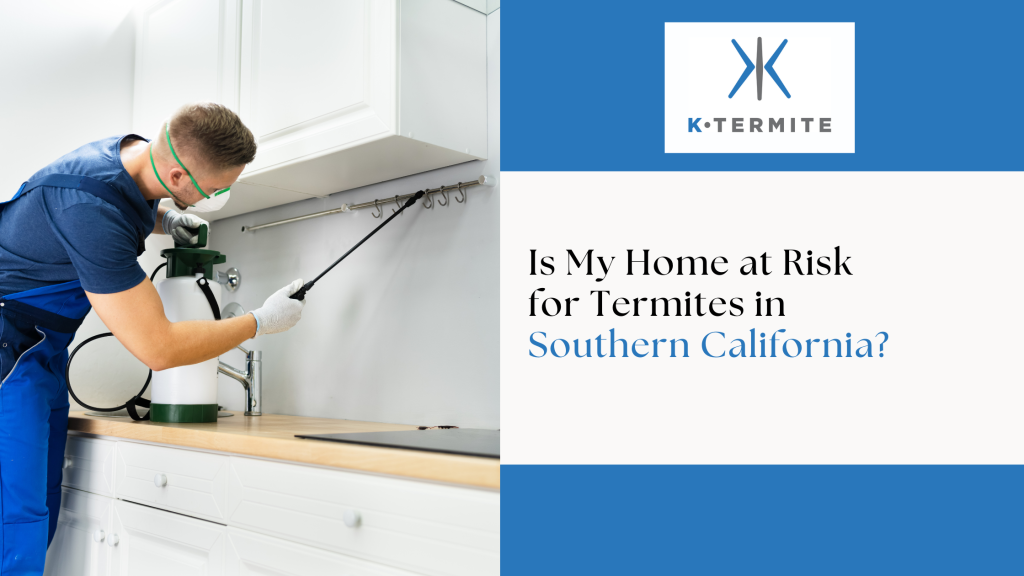 Termites in Southern California