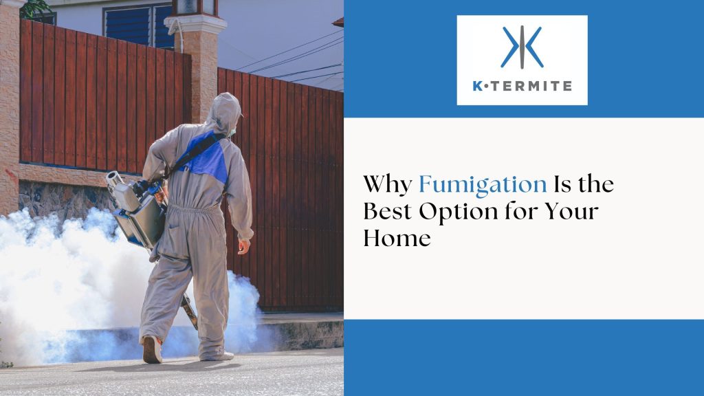 Fumigation Is the Best Option
