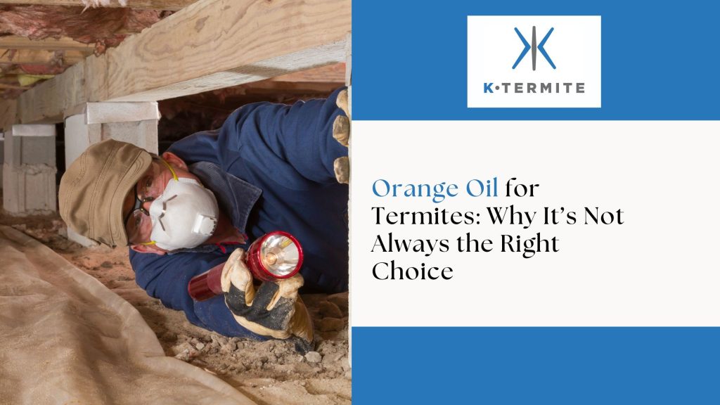 Orange Oil for Termites