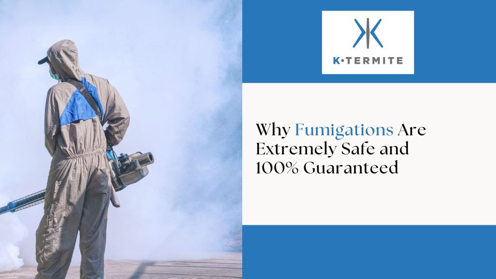 termite fumigation